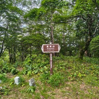 高塚山！遠かった　
このまま、京丸まで行ってしまいたい😚