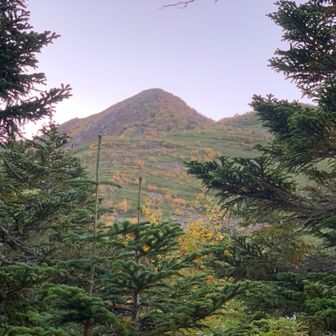 白鳳峠からこれから登る高嶺の山