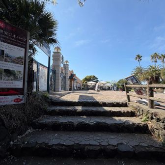 ここでハイキングコースから道路へ。