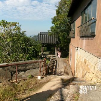 観音堂、鐘楼