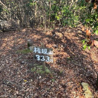 山頂、景色なし。333メートル！