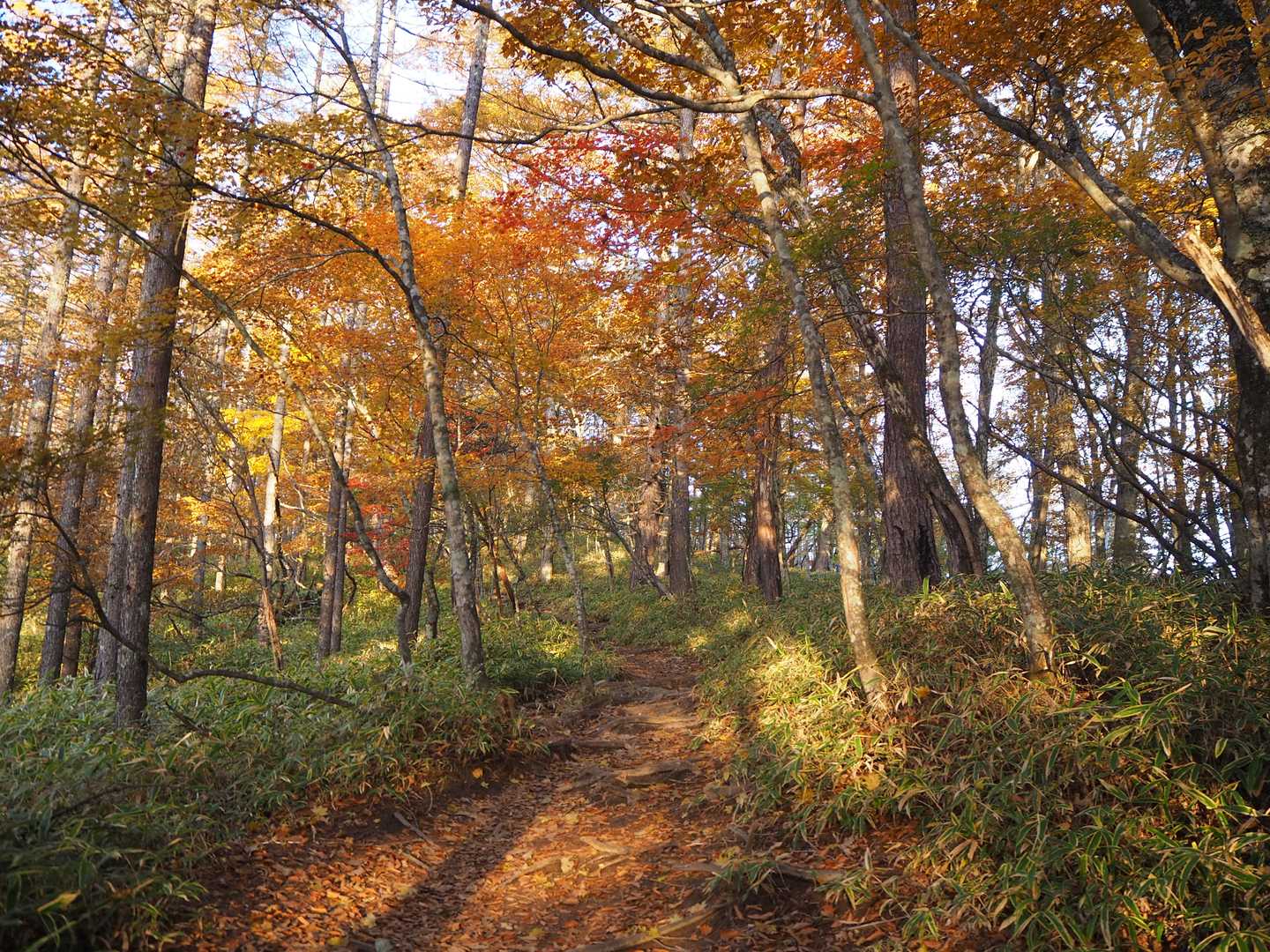 矢立石登山口-日向山｜日向山往復コースの写真