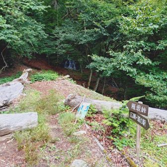ここから本格的な登山道が始まる
