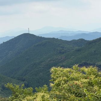 今から降りて行く稜線、やれやれ😅ですね