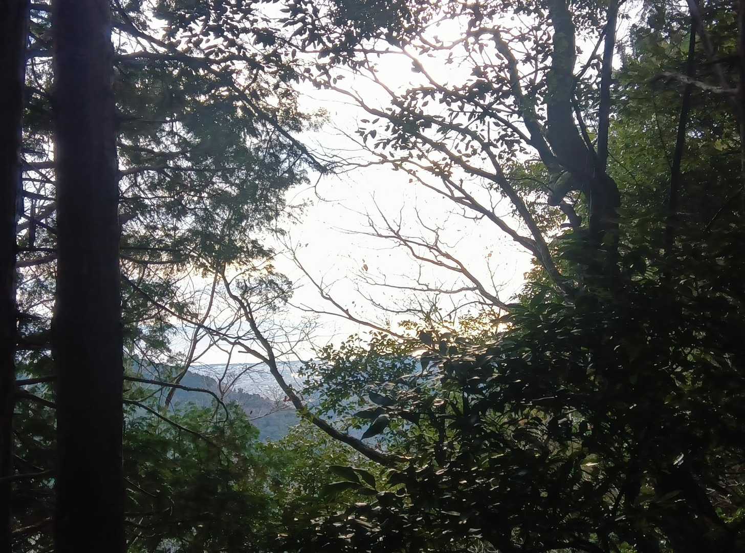 
この方向に富士山があるはずなのですが。