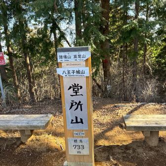 今日は巻かずに👍