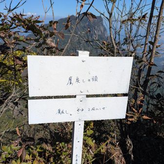 鷹戻しの頭