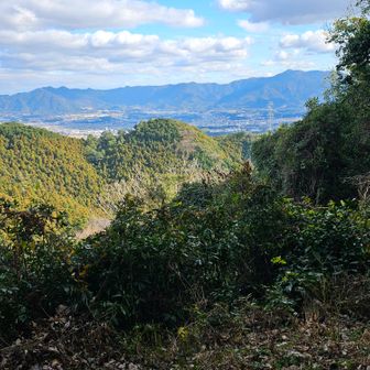 福智山、金剛山が見えます
