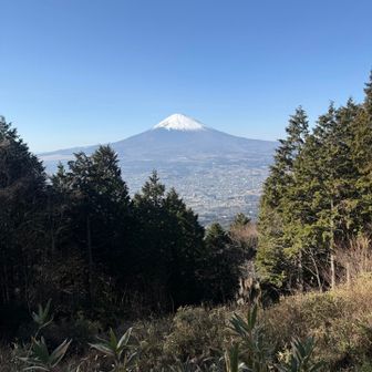 乙女峠展望台から富士山