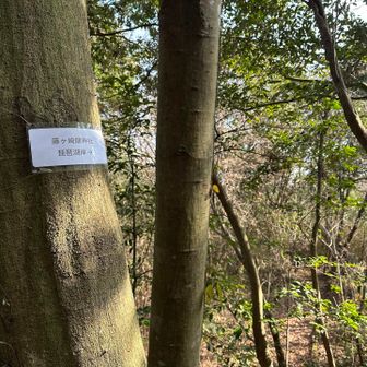 湖岸へ下ります