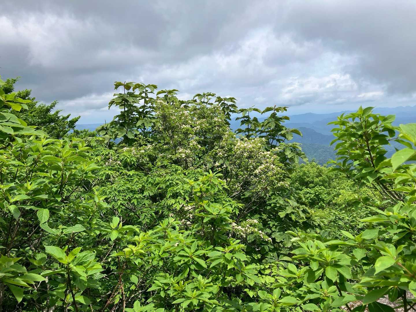 天狗石山登山口-天狗石山 往復コースの写真
