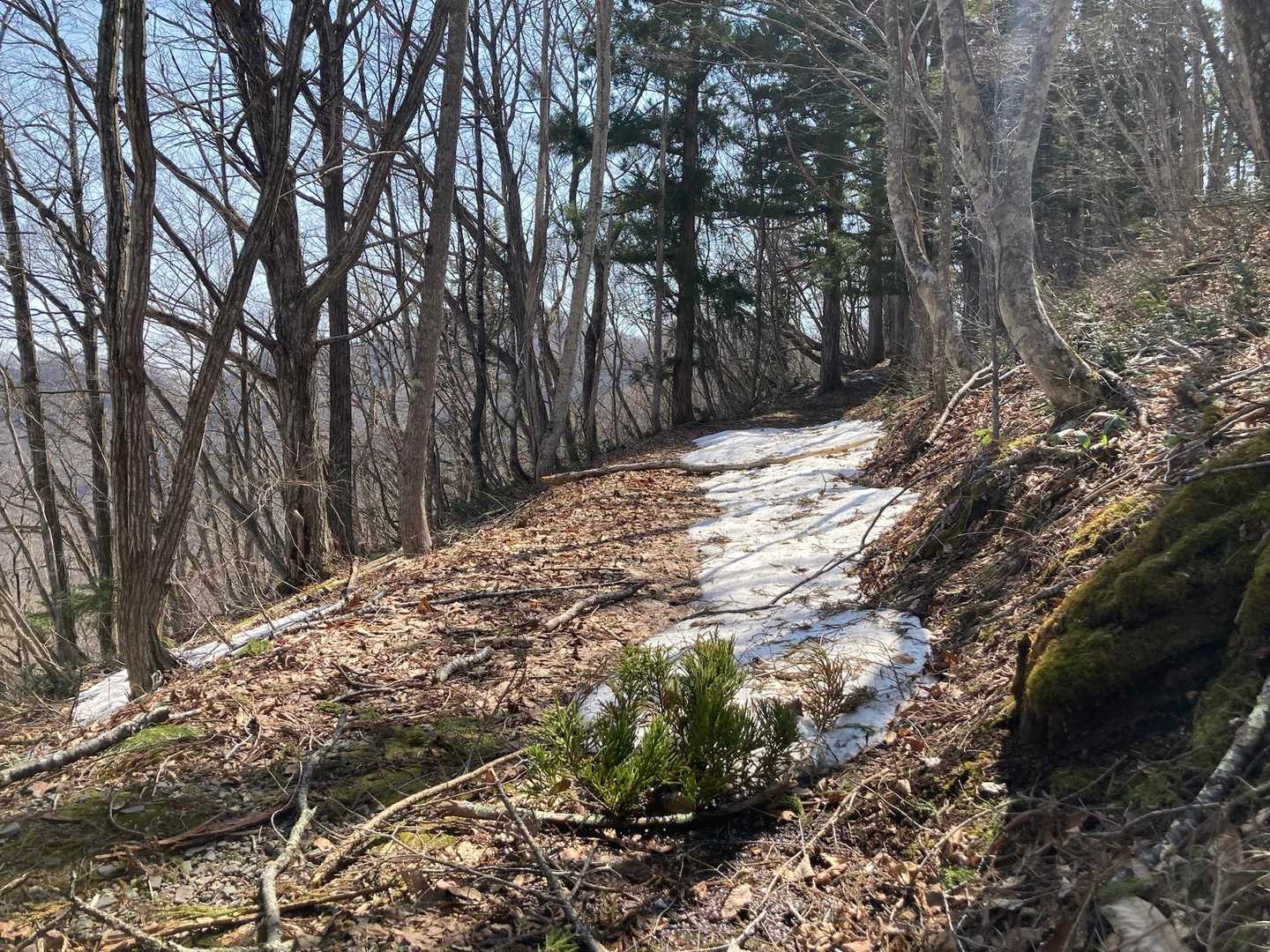飯縄山登山口-稲丘飯縄山 往復コースの写真