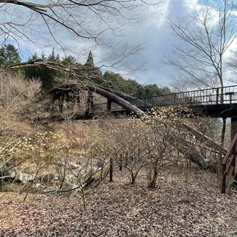 ユーシンロッジの裏手に出ました