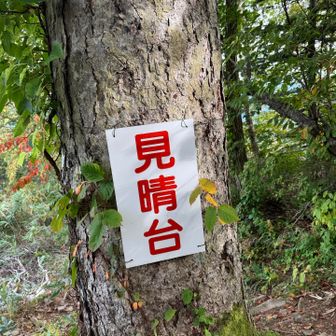 見晴台からの