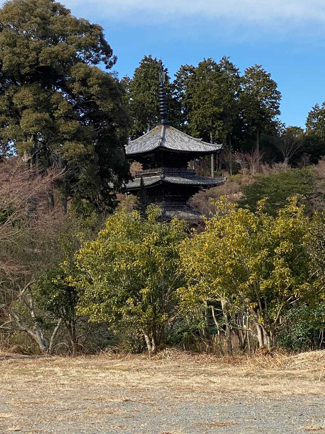 常楽寺の三重塔？