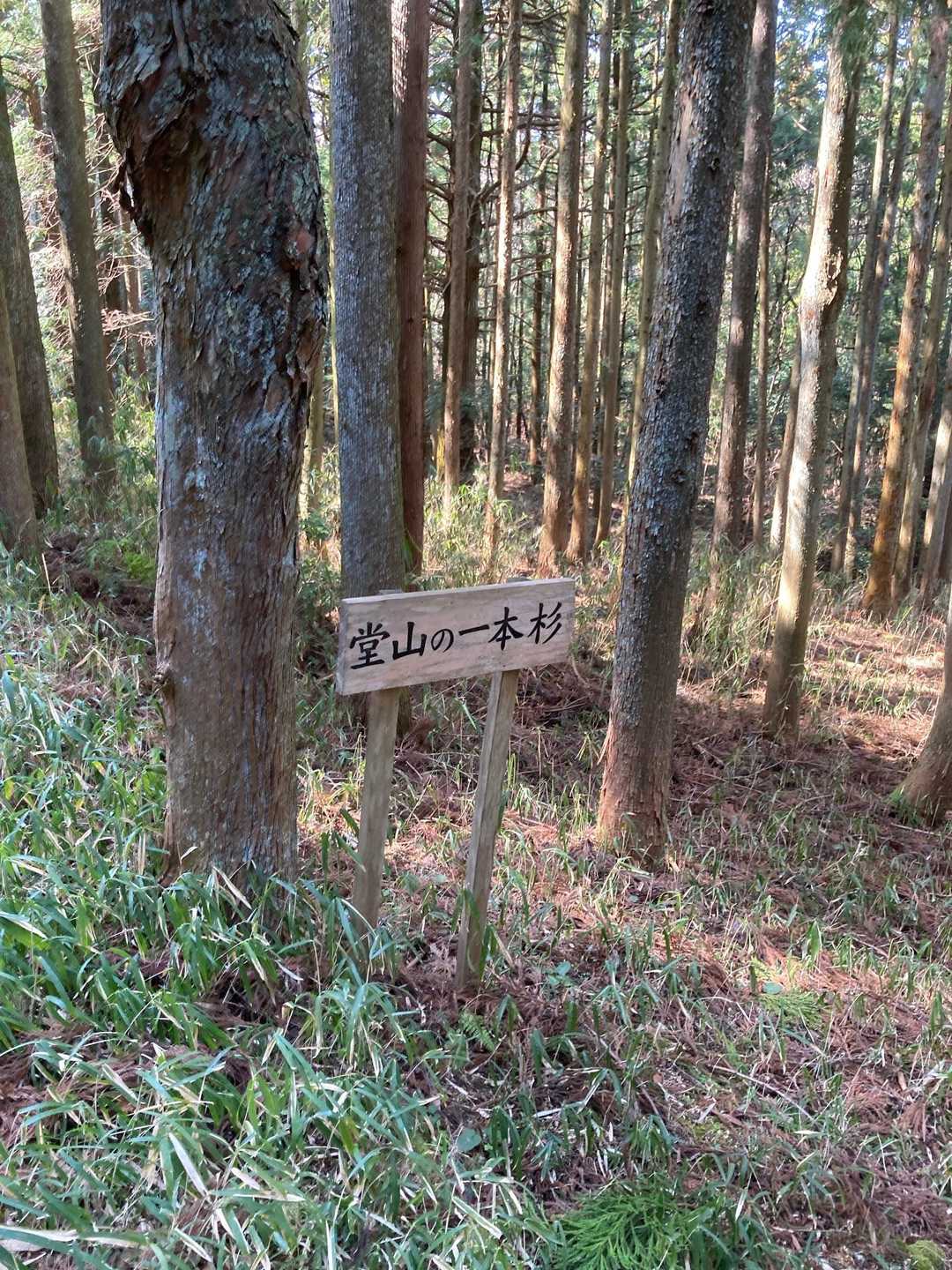 菟上神社-宇賀 周回コースの写真