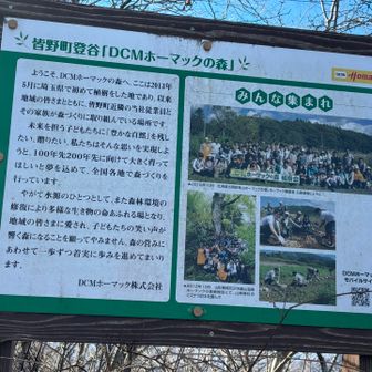 DCMも植林していたんですね