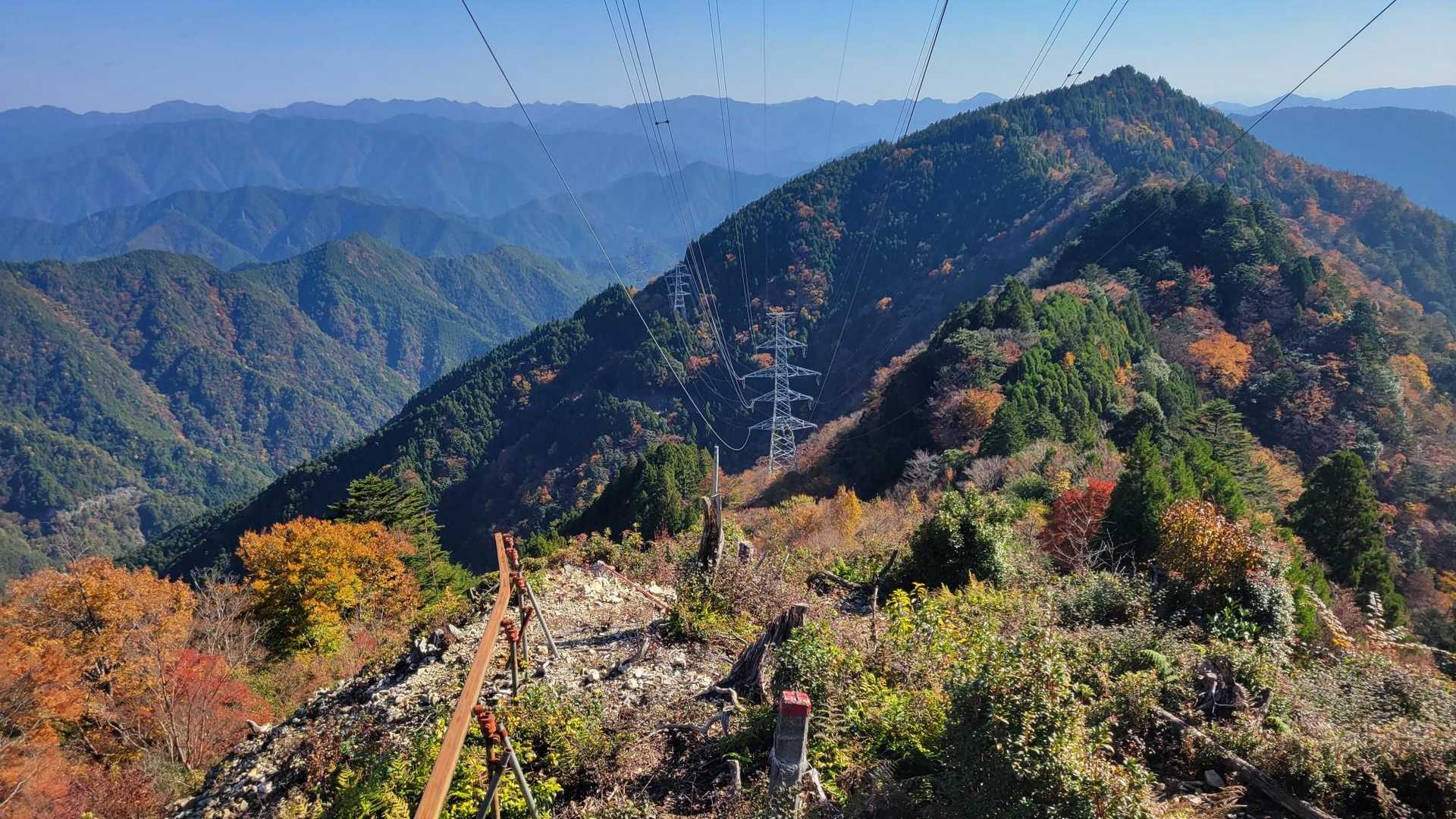 紅葉のコントラストがキレイ