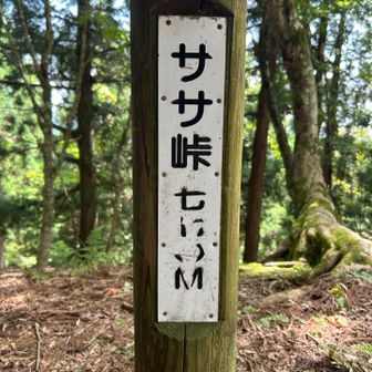 峠その５