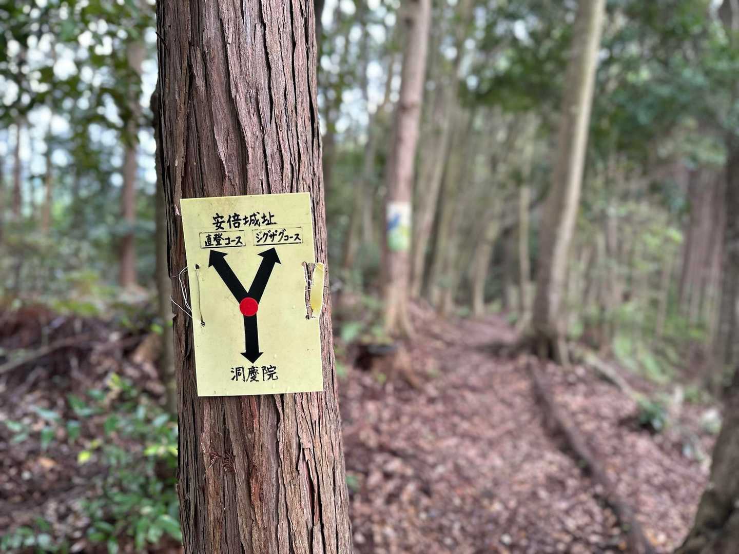 ジグザグコースで行きます😉