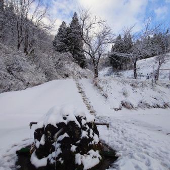 馬場清水からスタート🚶
ちょっぴり青空あり、嬉しい😊
