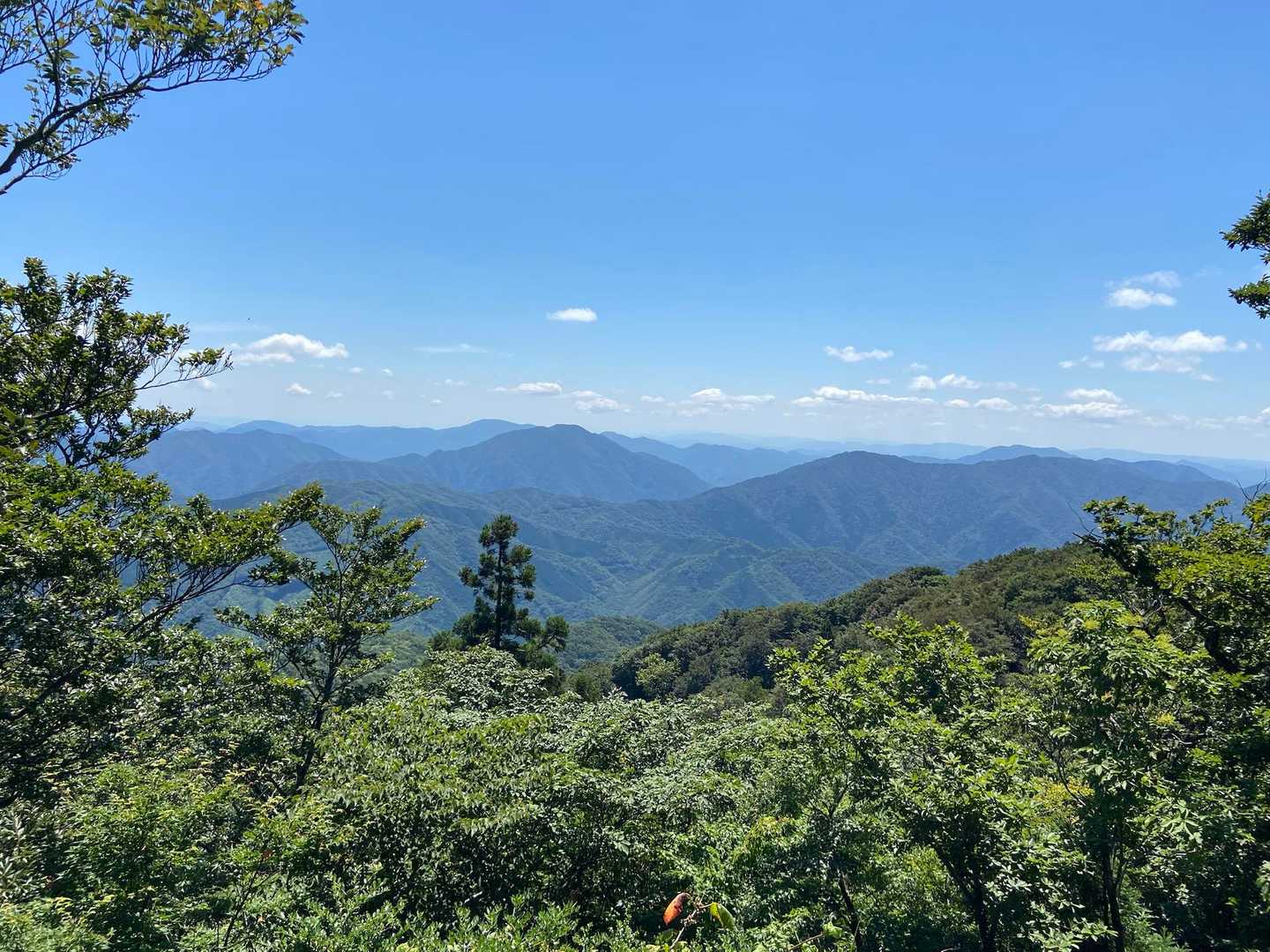 正面には小五郎山や羅漢山
遠くに石鎚山も見えるらしい