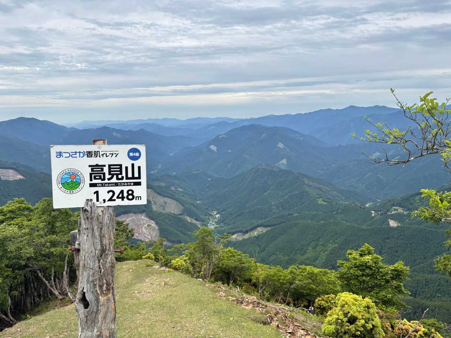 陽射しないけど、よーーく見えてる🤩