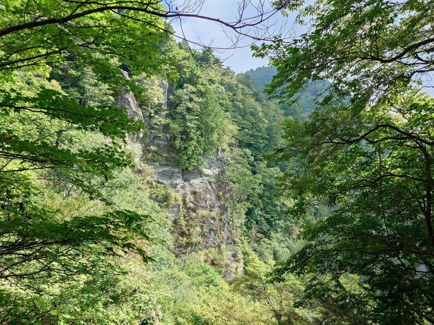 絶壁。
あの右手の山が八面山だな🏕️