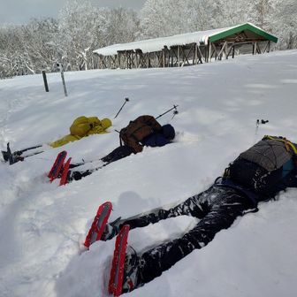 雪爆弾にヤられたのではありません
高齢❌️、恒例になりつつある五体投地❗