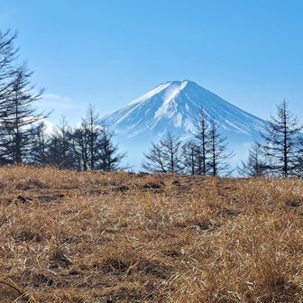 木無山山頂からは富士山はほとんど見えないが、山頂を少し過ぎた場所から少し違った富士山🗻が撮れた✌しかも快晴☀️