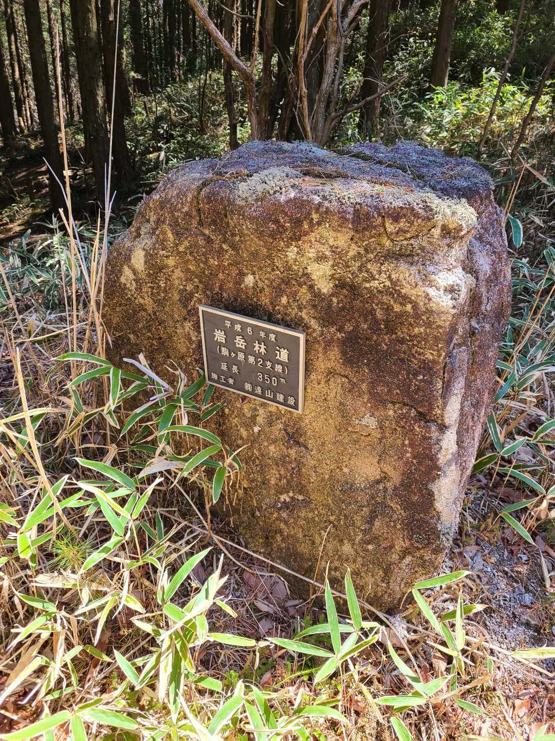 岩岳 周回コースの写真