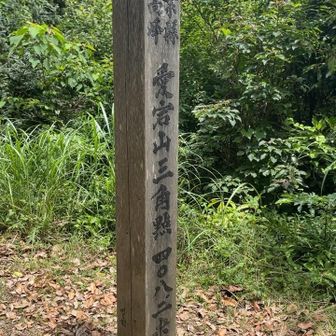山頂＆三角点(写ってなかったですがすぐ下にあります)