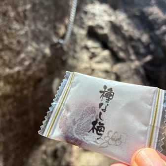 マイブーム継続中✨