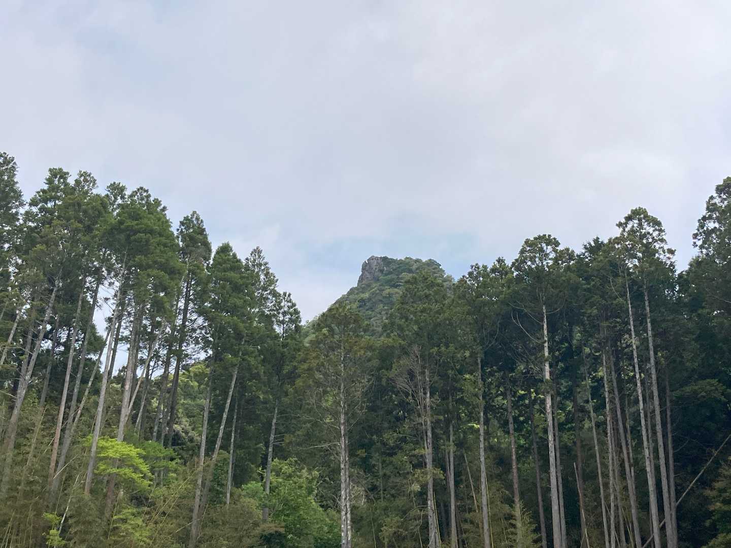 今回登る、伊予ヶ岳（南峰）になります
