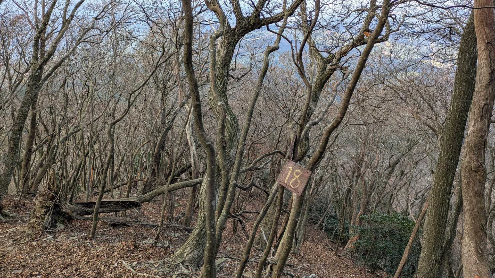 ラインも電話も通じず
叫ぶも返答無し^^;