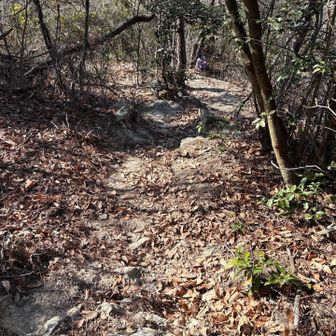 ここからが激下り