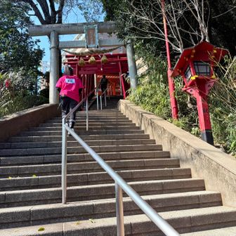 二葉山の仏舎利塔もポイントになっていたので登ります