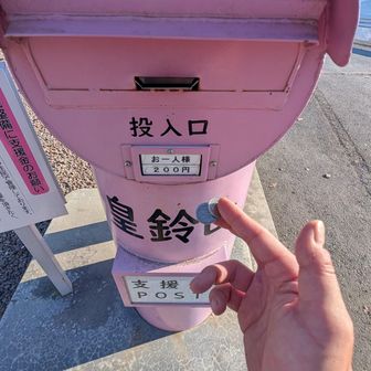 今日は大盤振る舞いです💰️