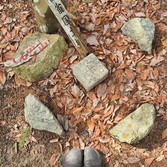 vivoの靴👟これからの相棒