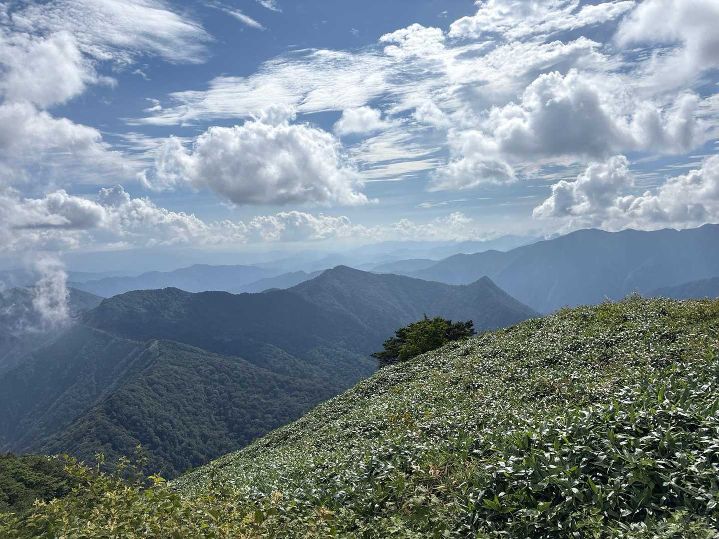 岩黒山-手箱越-手箱山-筒上山 周回コースの写真