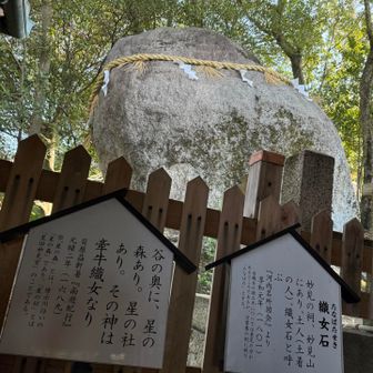 大きな石　織女石（たなばたせき）