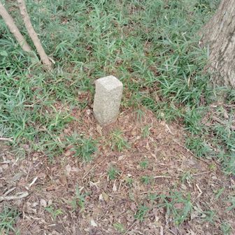 10座目：鬼越山
山頂標識が見つけられず。