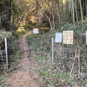 やっと金胎寺登り口まで来ました😄
今日はじめての山道です⛰️💪