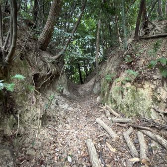 いつも気になる、この先😳

ちょっと行ってみました。

トンネルの向こうからの道なのかな？

いつか行ってみよう。