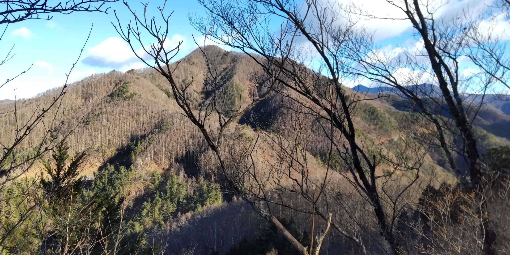 前方に大沢の頭…まだ遠い😅
小楢山はこの奥で見えない
