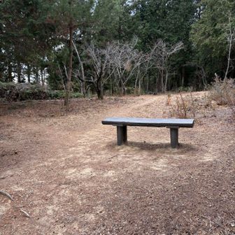 ここでテント泊しよかな