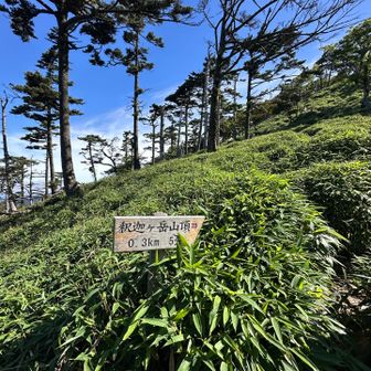 山頂まで5分やって
頑張れそそう💪