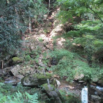 東くねりの滝