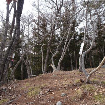 次のピークに到着