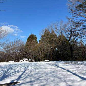 まずはYAMAPで城山のピークのある後三の丸へ
結構広い広場になっていて雪が無かったらピクニックとかに良さそう( ´ ▽ ` )
